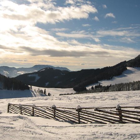 Heidi'S Schlummerkiste Am Fuss Der Teichalm Breitenau am Hochlantsch Exteriör bild