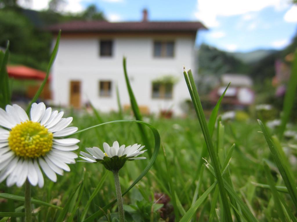 Heidi'S Schlummerkiste Am Fuss Der Teichalm Breitenau am Hochlantsch Exteriör bild