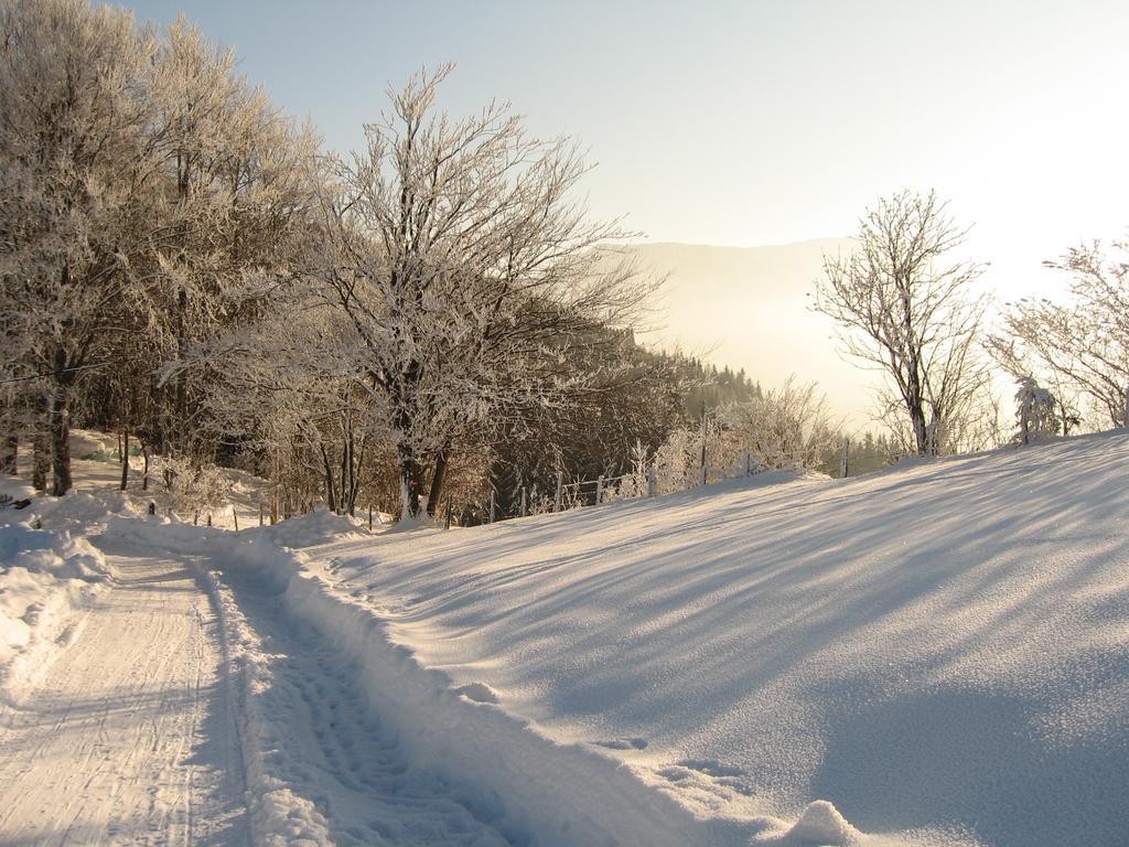 Heidi'S Schlummerkiste Am Fuss Der Teichalm Breitenau am Hochlantsch Exteriör bild