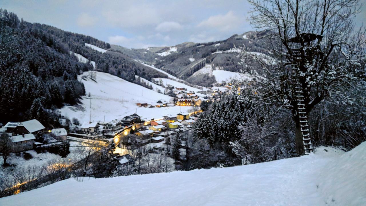 Heidi'S Schlummerkiste Am Fuss Der Teichalm Breitenau am Hochlantsch Exteriör bild