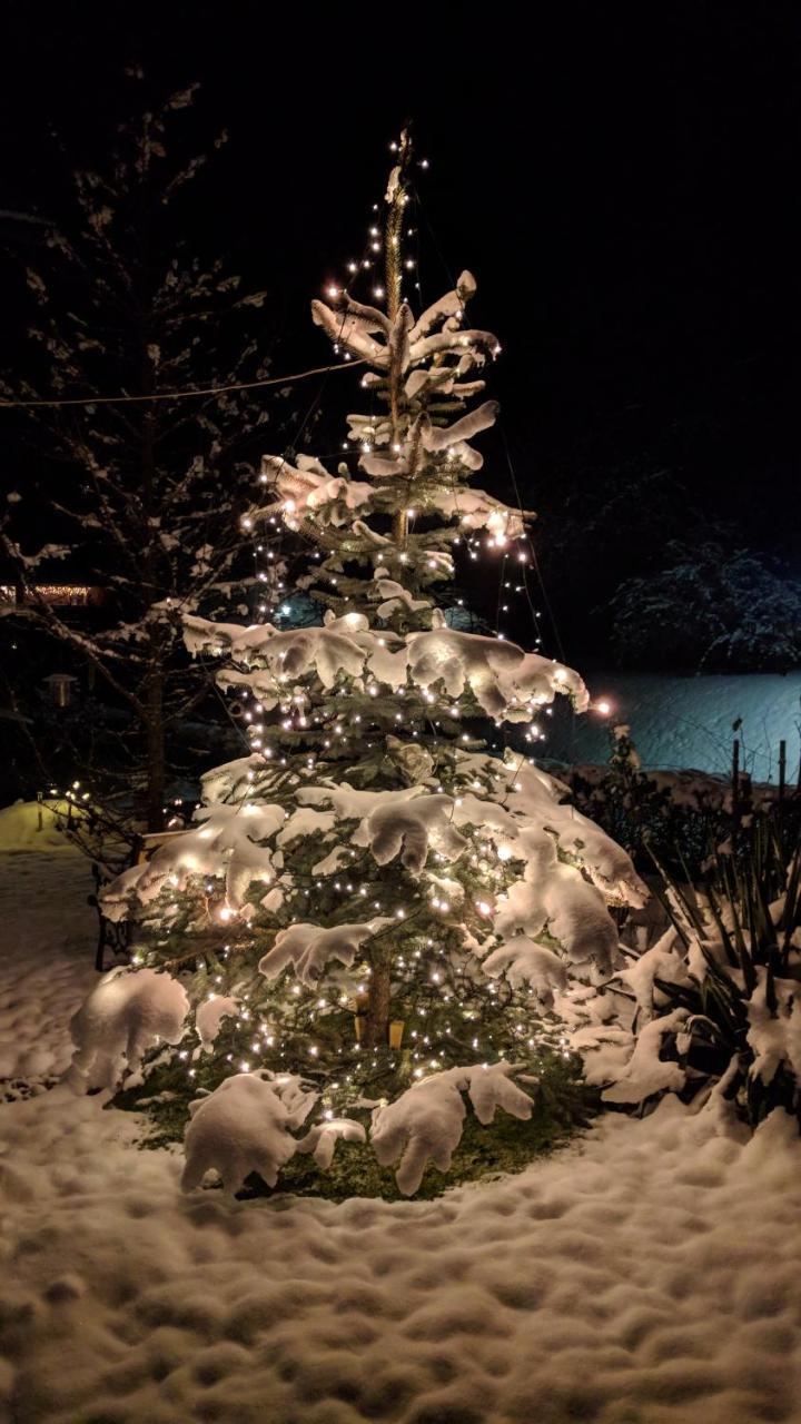 Heidi'S Schlummerkiste Am Fuss Der Teichalm Breitenau am Hochlantsch Exteriör bild